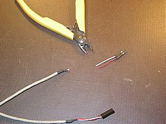 IMG_8579.JPG